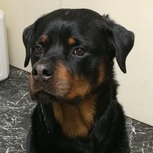 Meet your Posher, Marla